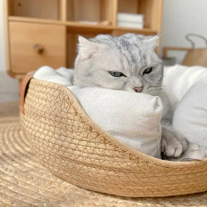 Cat lounging comfortably on a handmade bamboo pet bed sofa with a soft, removable cushion.