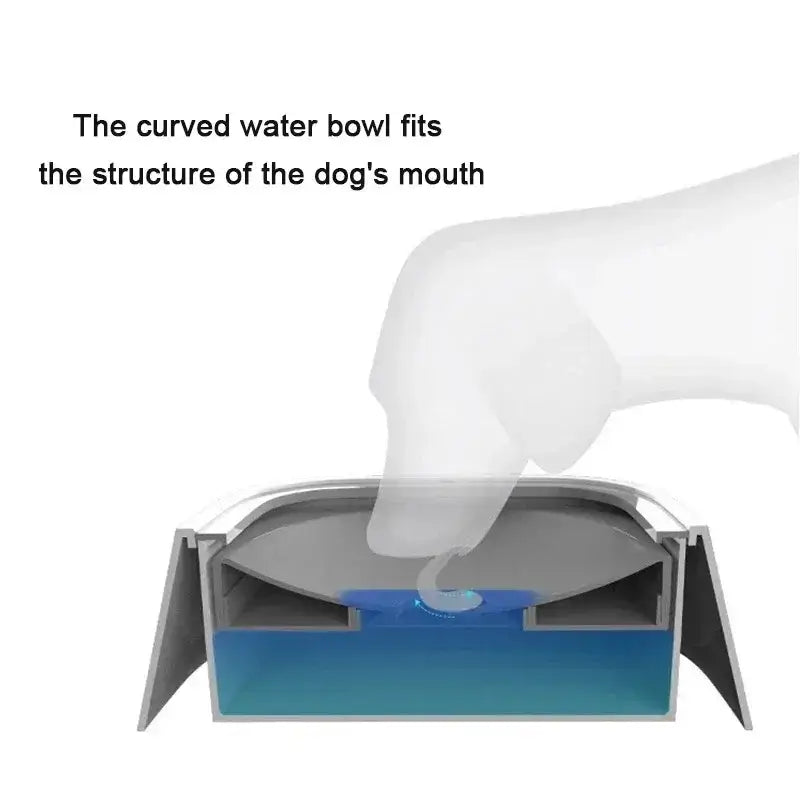 Dog drinking water from anti-spill curved bowl with floating plate design to prevent wet mouth.