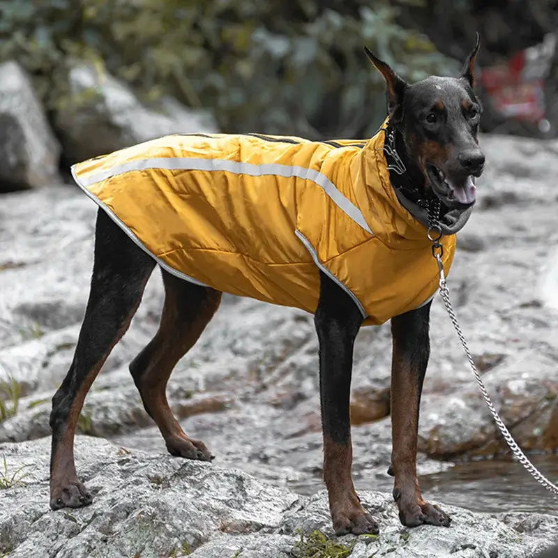 Warm Waterproof Dog Winter Coat for Medium & Large Dogs