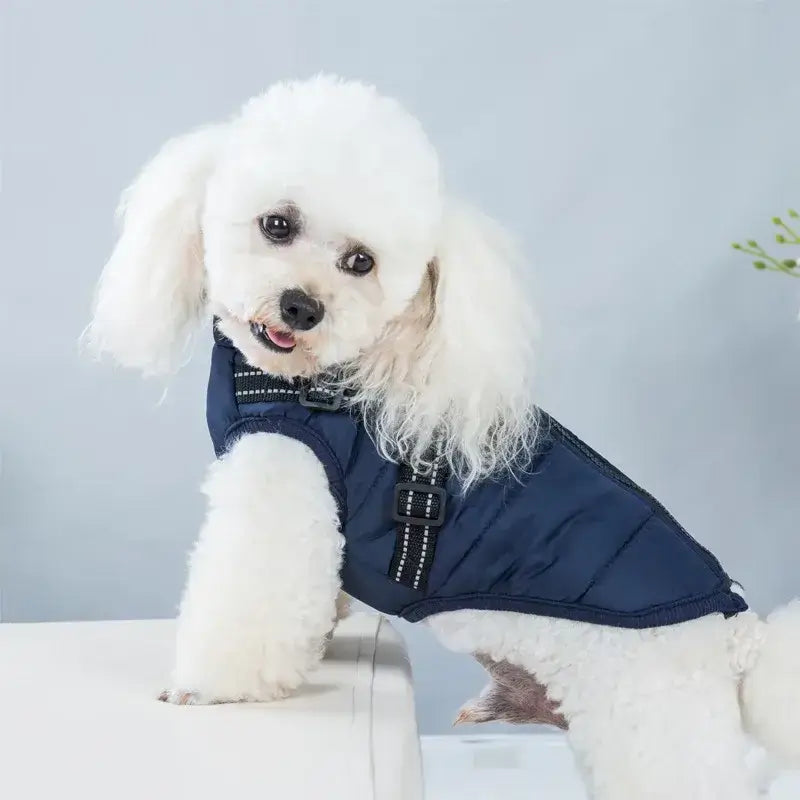 Puppy Clothes Winter Dog Coat for Small and Medium Dogs£15.90Paws Palace Store