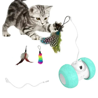 "Engage Your Cat's Senses with Our Interactive Toy and Food Dispenser." Mental Stimulation: Keep your cat mentally sharp and entertained as they work to retrieve treats from the dispenser, stimulating their natural hunting instincts. Physical Activity: En