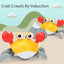 "Sensing Crawling Crab: Enhancing Tummy Time Fun for Your Pet." Entertaining Playtime: Keep your pet entertained for hours with the engaging movements and sounds of the Sensing Crawling Crab. Sensory Experience: With its vibrant colors, intriguing movemen