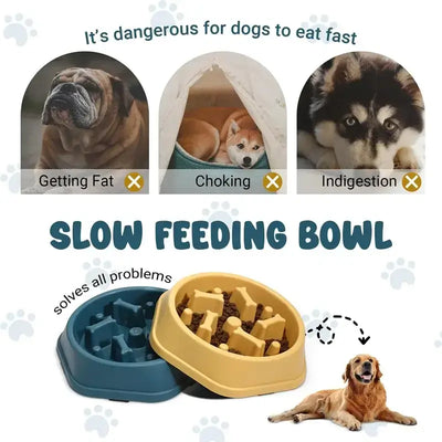 Dog Slow Feeder Bowl: Healthy Diet Pet Feeding£7.9