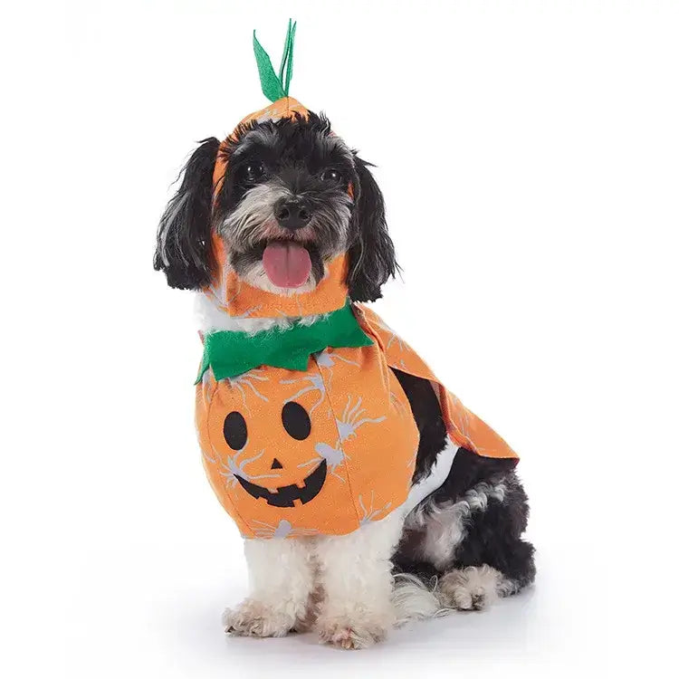 Halloween Christmas Pet Dog Clothes Pumpkin Bat Pirate Cosplay Funny Dog Costume Puppy Cat Clothing Festival Dress Up Suit