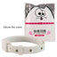 8-Month Flea & Tick Protection Collar for Pets#8MonthProtection,#AdjustablePetCollar,#FleaControl,#FleaTickCollar,#FleaTreatment,#PetHealth,#PetSafety,#TickPrevention,#WaterResistantCollar£8.9