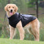 Cozy Waterproof Winter Dog Jacket with Adjustable Harness