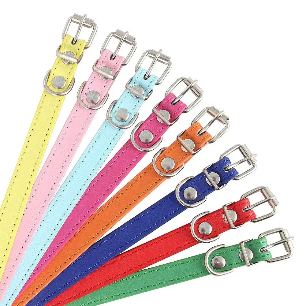 Personalized Colorful Leather Cat & Dog Collar