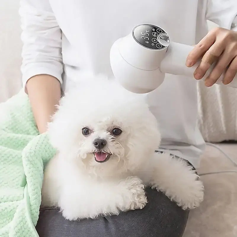 Low Noise Pet Hair Dryer for Dogs & Cats - Adjustable Temp