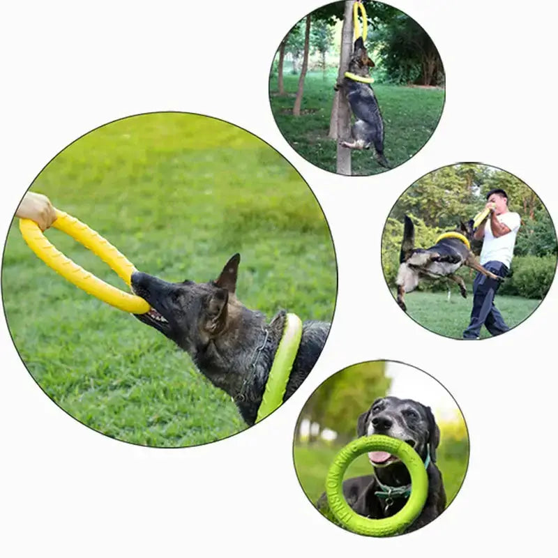 Dog Toys Pet Flying Disk Training Ring | Paws Palace StoreBuy Dog Toys Pet Flying Disk Training, Ring Puller, Anti-Bite Floating For only £8.90 at Paws Palace Stores | Free Delivery£8.9