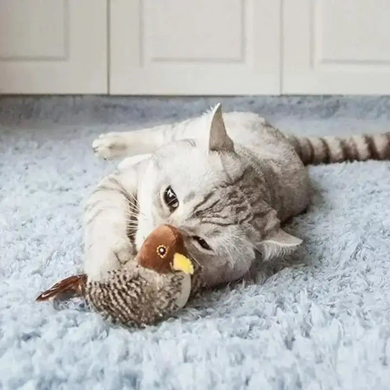 Cat playing with interactive chirping bird toy on fluffy carpet