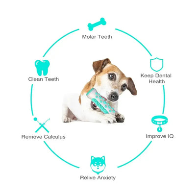 Dog Chew & Teething Toy - Toothbrush Stick & Molar Training£10.90Paws Palace Store