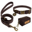 Vintage style waterproof PVC dog leash and collar set with durable brass hardware and brown accessory pouch