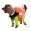 Funny Pet Pumpkin Costume for Cats & Dogs