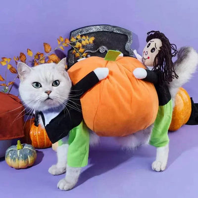 Funny Pet Pumpkin Costume for Cats & Dogs