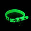 Luminous Cat Necklace Collar with Anti-Loss Bell | Paws Palece Store"Shine Bright with Our Luminous Necklace: Glowing Collar for Small Dogs and Cats, Fluorescent Silicone with Anti-Loss Bell, Essential Pet Accessories!" free delivery£4.90#AntiLossBell,#Ca