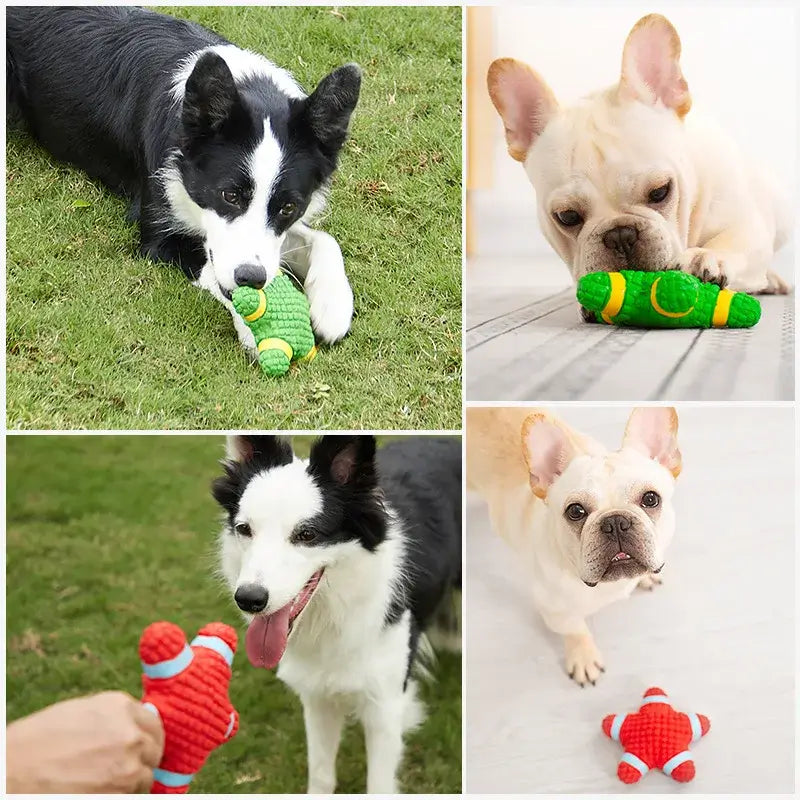 Squeaky Dog Toys for Fun & Interactive PlayEntertain your pooch with our Natural Latex Squeaky Dog Toys. Perfect for chew, fetch, and play. Durable balls for all dog sizes.£6.9Paws Palace Stores