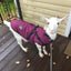 Winter Warm Dog Jacket with Harness for Large Breeds£14.9