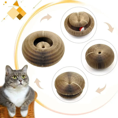 Magic Cat Scratch Board & Toy - Grind Claws & PlayDurable Magic Organ Cat Toy with corrugated scratcher & ball for endless fun. Keeps claws sharp & offers relaxation. Perfect for all cats.£2.9