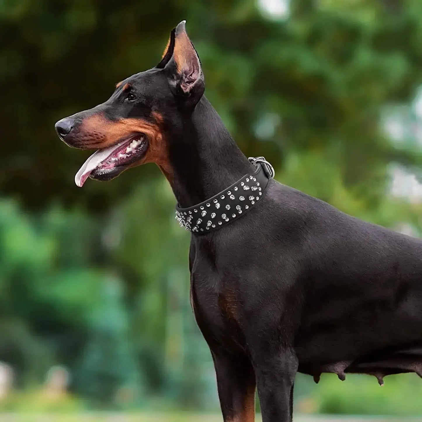 Spiked Studded Leather Dog Collars for Large Breeds