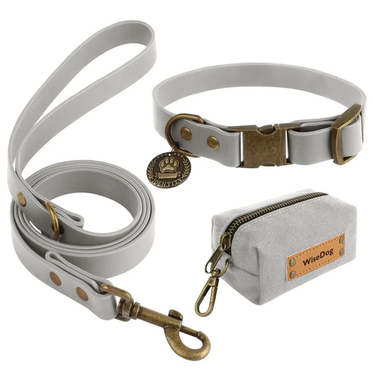 Vintage style waterproof PVC dog leash and collar set with brass hardware, includes a stylish canvas pouch for accessories.