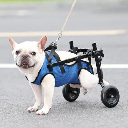 Wheelchair for Disabled Cats & Big Dogs - Pet Rehab Cart£63.90Paws Palace Store