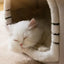 Warm Foldable Cat House for Small Pets£42.9