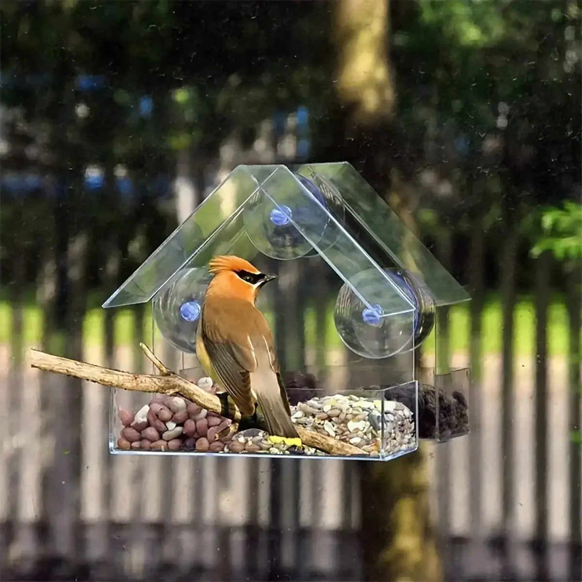 Acrylic Bird Cage Feeder, Window-Mounted£12.90Paws Palace Store