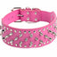 Spiked Studded Leather Dog Collars for Large Breeds