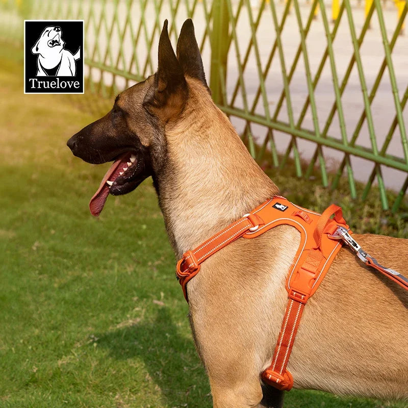 TRUELOVE No Pull Nylon Dog Harness