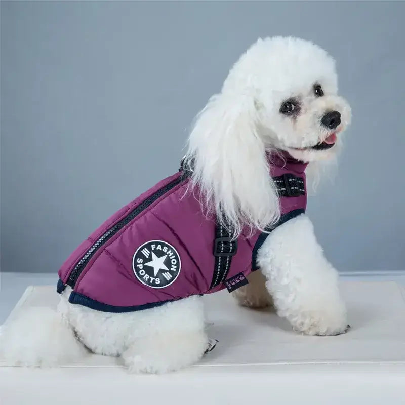 Puppy Clothes Winter Dog Coat for Small and Medium Dogs£15.90Paws Palace Store