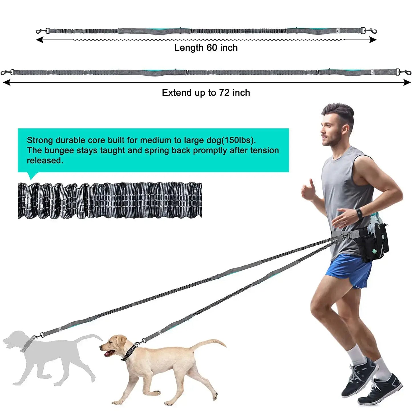 Hands-Free Retractable Dog Leash for 2 Dogs, Adjustable£30.9