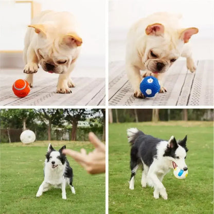 Squeaky Dog Toys for Fun & Interactive PlayEntertain your pooch with our Natural Latex Squeaky Dog Toys. Perfect for chew, fetch, and play. Durable balls for all dog sizes.£6.9Paws Palace Stores