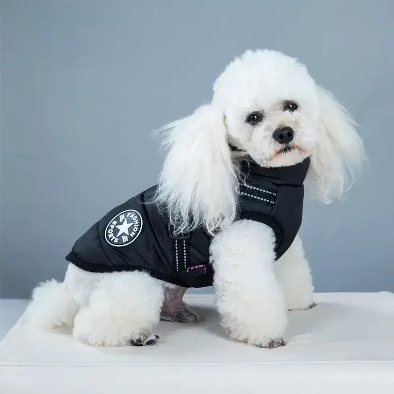 Puppy Clothes Winter Dog Coat for Small and Medium Dogs£13.90Paws Palace Store