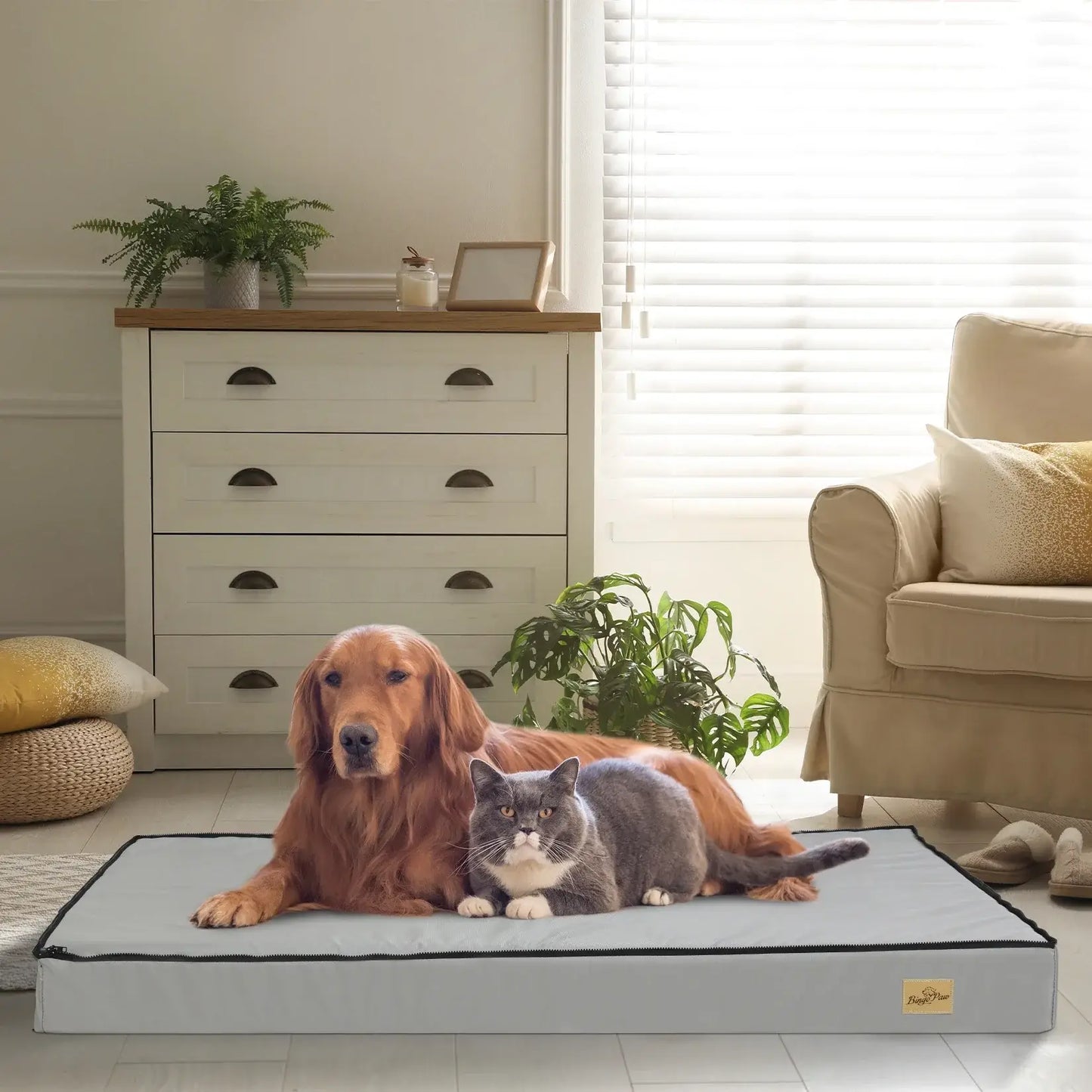 Orthopedic Dog Bed Gray - Multiple Sizes£48.9