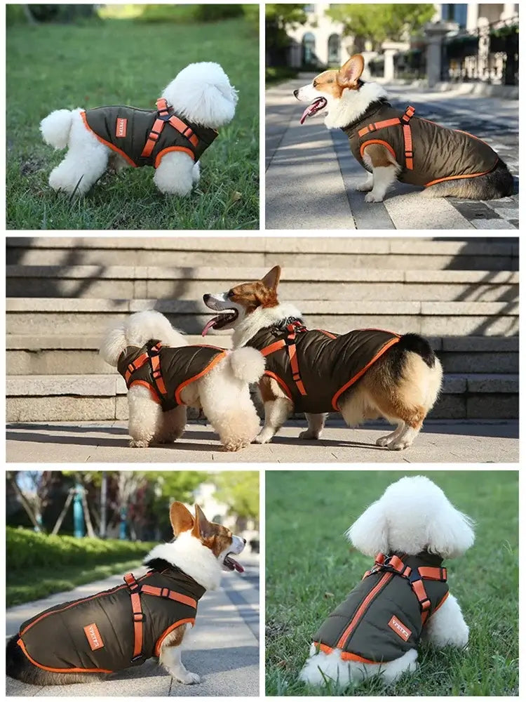 Waterproof Puppy Jacket for Small Dogs - Warm & Cozy