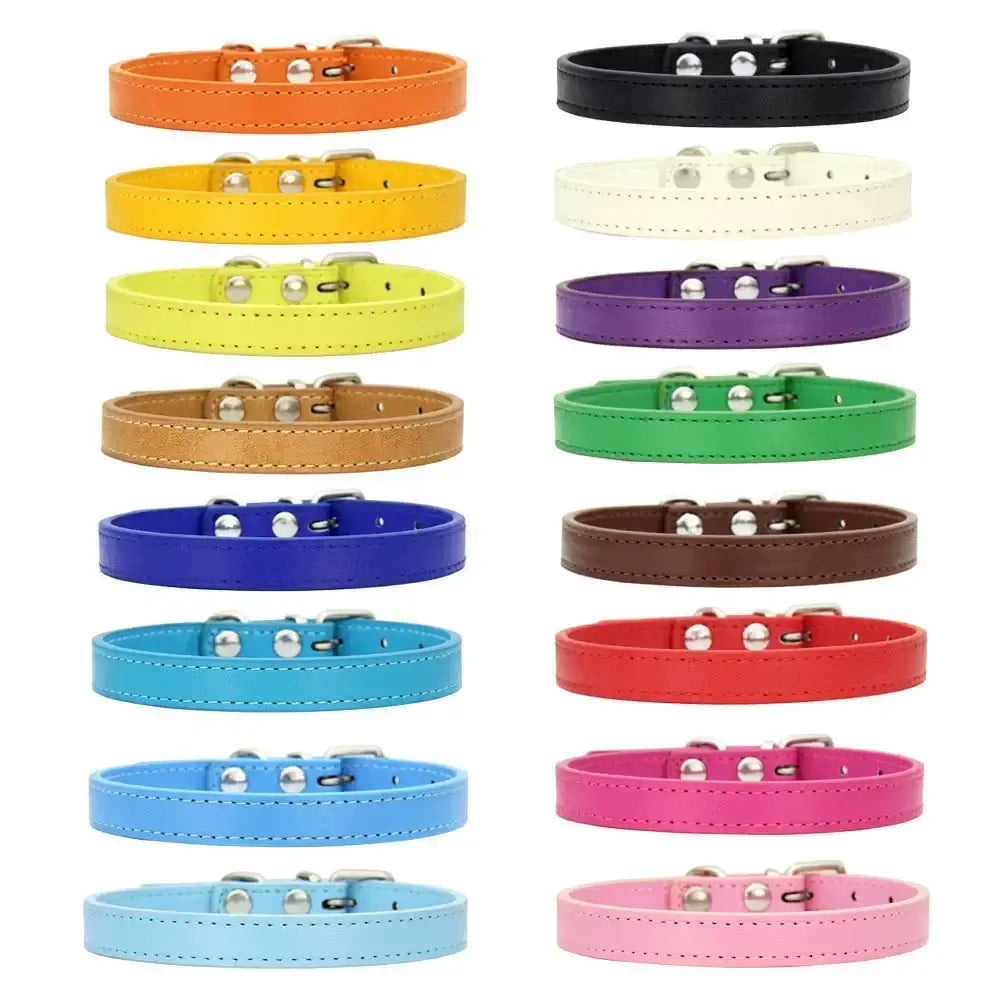 Personalized Colorful Leather Cat & Dog Collar