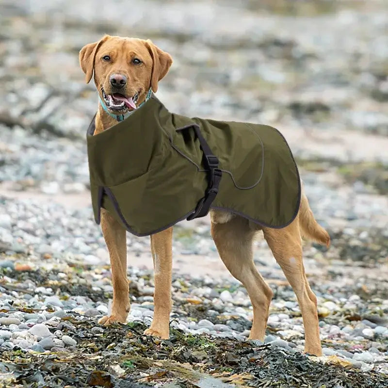 Warm Winter Clothes for Big Dogs | Waterproof & Reflective