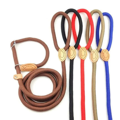 Adjustable Nylon Dog Leash and Harness Set | Paws Palace StoresUpgrade your dog's walking experience with our versatile Dog Harness Set, Free delivery£2.9