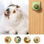 Rotatable Catnip Wall Toys - Interactive & Healthy£6.90Paws Palace Store