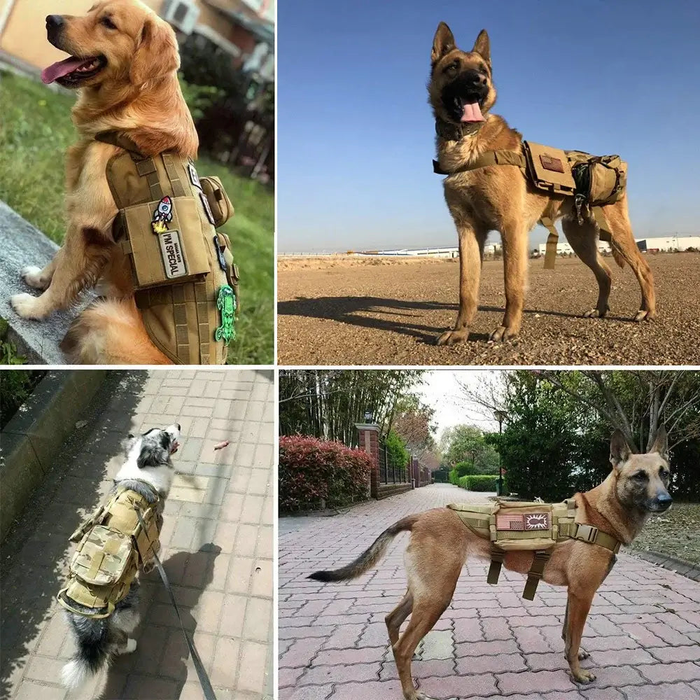 Dogs wearing Tactical K9 Dog Harnesses with pouches and no-pull handles, showcasing durable and military-grade designs for maximum control and versatility.