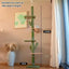 Cactus Cat Tree Tower: 5-Layer Climbing & Fun, Free DeliveryElevate your cat's playtime with our Cactus Cat Tree Tower, featuring 5 layers, a hammock, scratching post & more. Ideal for indoor fun. Free Delivery.£160.9