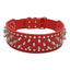 Spiked Studded Leather Dog Collars for Large Breeds