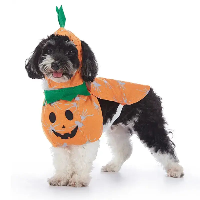 Halloween Christmas Pet Dog Clothes Pumpkin Bat Pirate Cosplay Funny Dog Costume Puppy Cat Clothing Festival Dress Up Suit