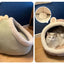 Cat Cozy Nest Dreamer: Luxurious Warmth & Comfort Cat Bed"Spoil Your Cat with Luxury: A Dreamy Retreat for Ultimate Comfort" Treat your beloved feline friend to the lap of luxury with our Cat Cozy Nest Dreamer.£11.9