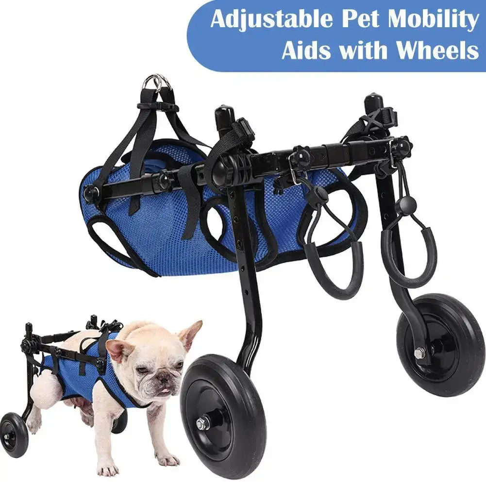 Wheelchair for Disabled Cats & Big Dogs - Pet Rehab Cart£63.90Paws Palace Store