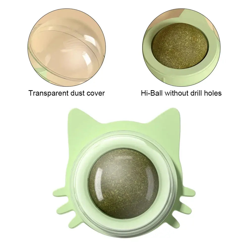 Rotatable Catnip Wall Toys - Interactive & Healthy£6.90Paws Palace Store