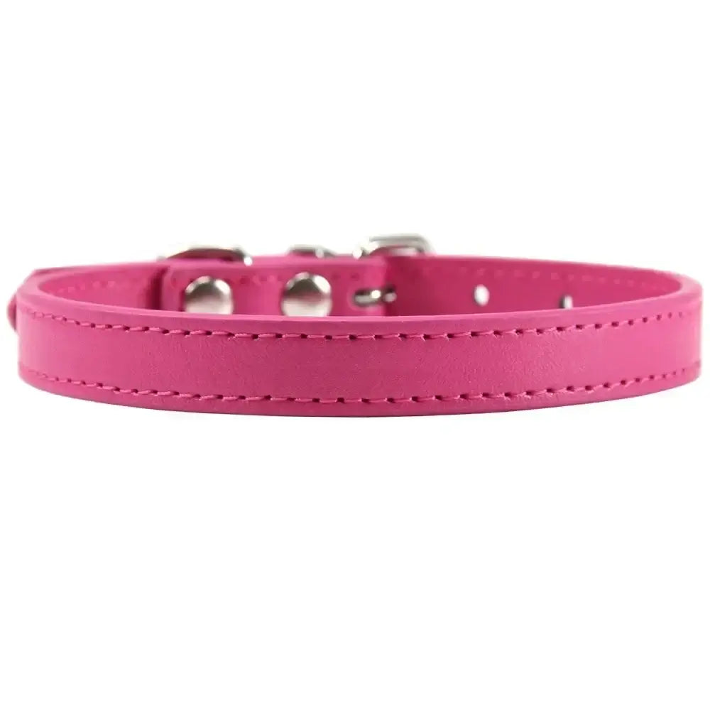 Personalized Colorful Leather Cat & Dog Collar