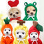 Small dogs in autumn and winter pet clothing, including love sweater, frog sweater, carrot sweater, apple sweater, and banana sweater.