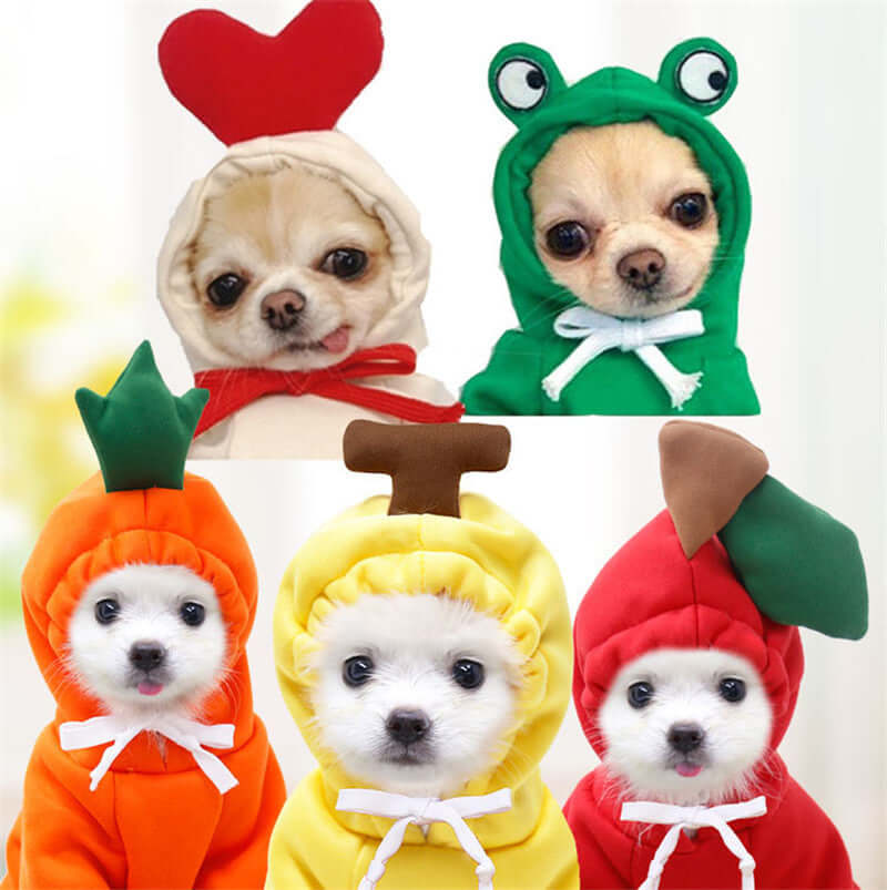 Small dogs in autumn and winter pet clothing, including love sweater, frog sweater, carrot sweater, apple sweater, and banana sweater.