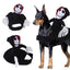 Dog wearing a skeleton-themed Halloween pet costume, featuring realistic spooky skeleton rider on the back. Perfect for pet cosplay and Halloween fun.